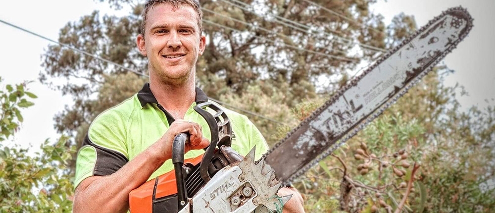 12-Image-12-Tree-Maintenance