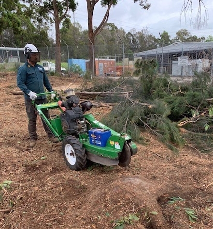 14-Image-14-Stump-Grinding