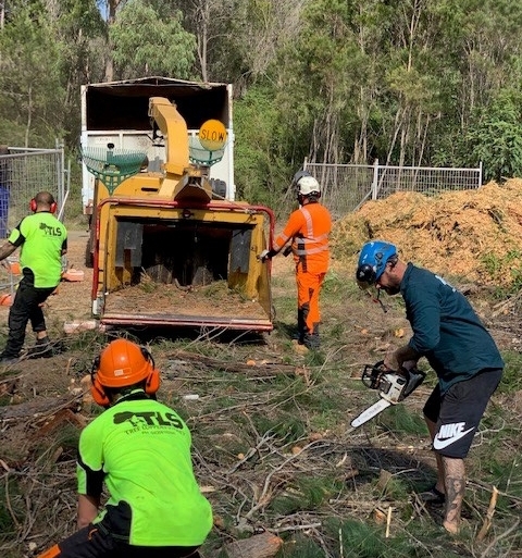 17-Image-17-Land-Clearing