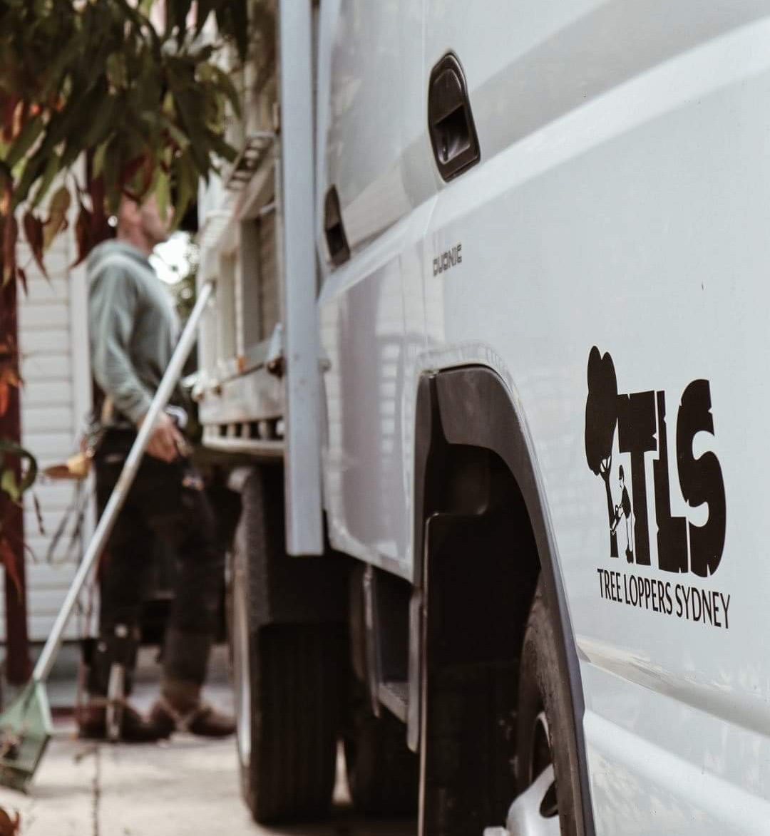 20-Image-20-Emergency-Tree-Work