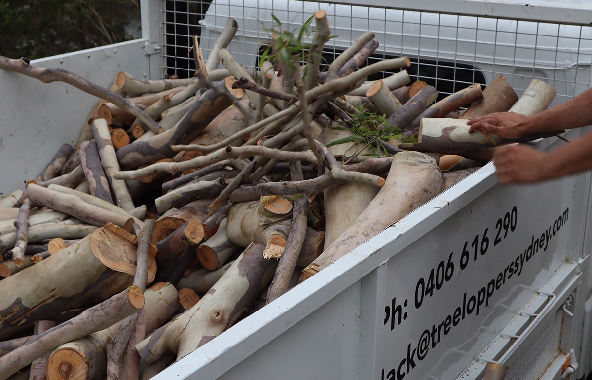 21-Image-21-Emergency-Tree-Work