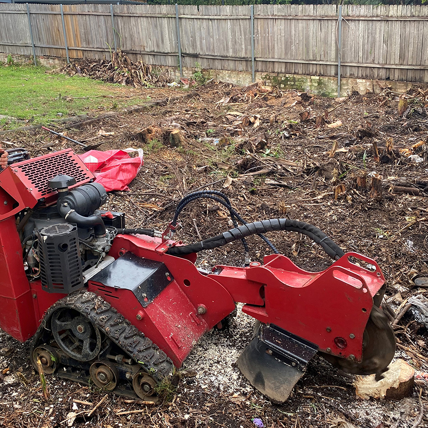 4-Image-4-Stump-Grinding