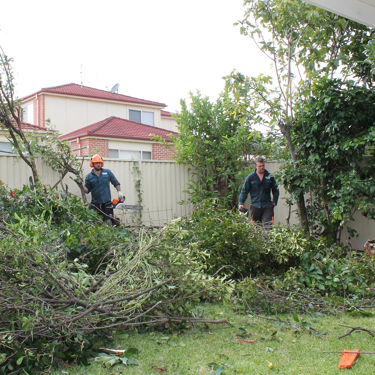 5-Image-5-Land-Clearing