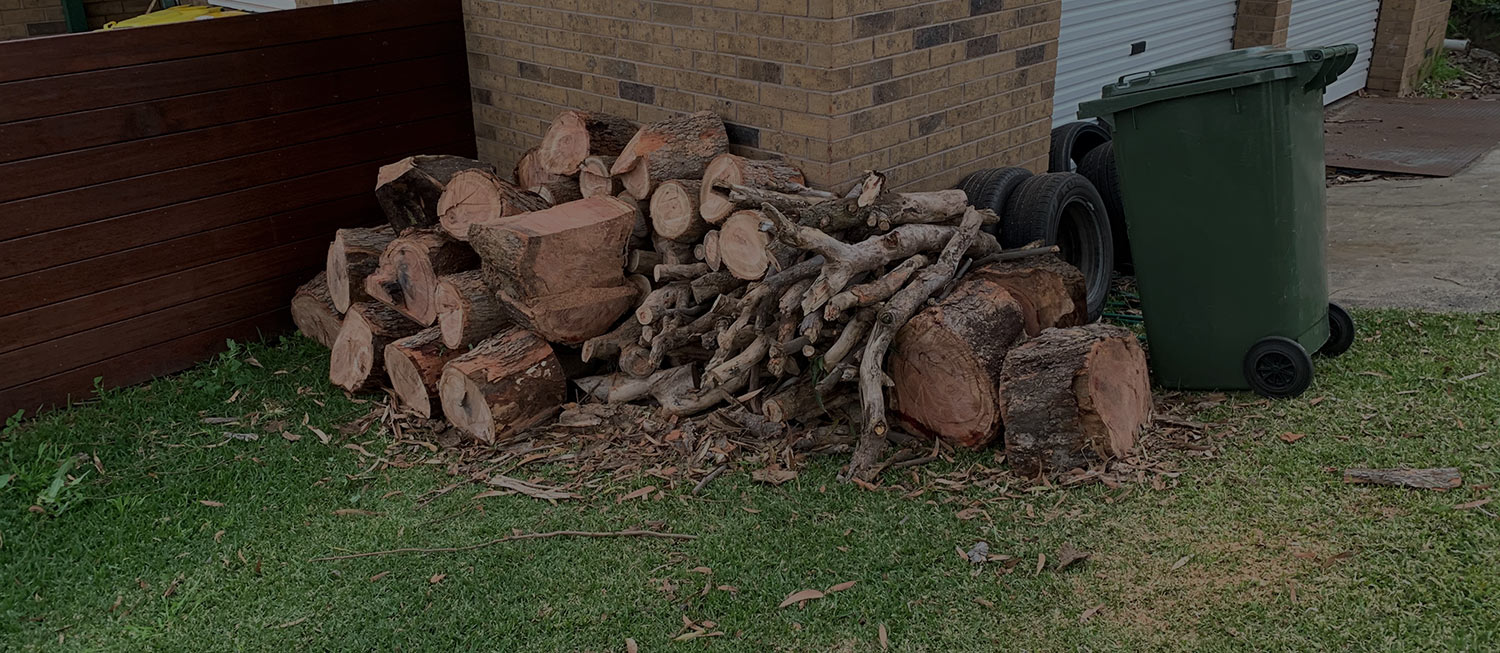 Contact Tree Loppers Sydney